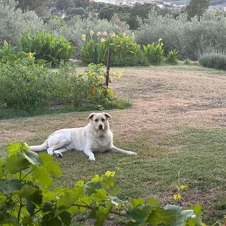 Casa Rural La Recuera Montánchez Eksteriør bilde